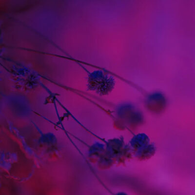 giardino_sonoro_prp